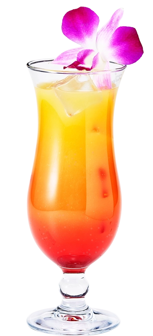 アランチャータサンライズのイメージ画像