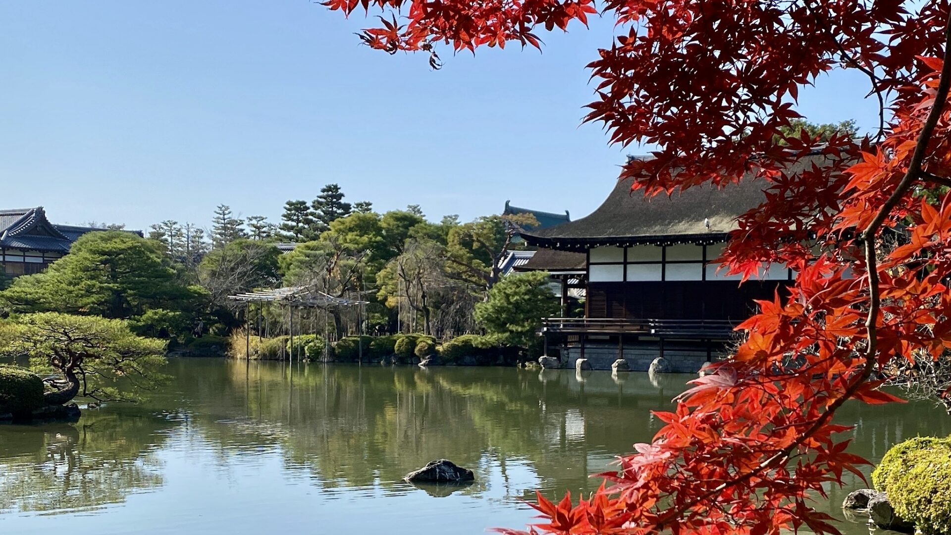 京都紅葉