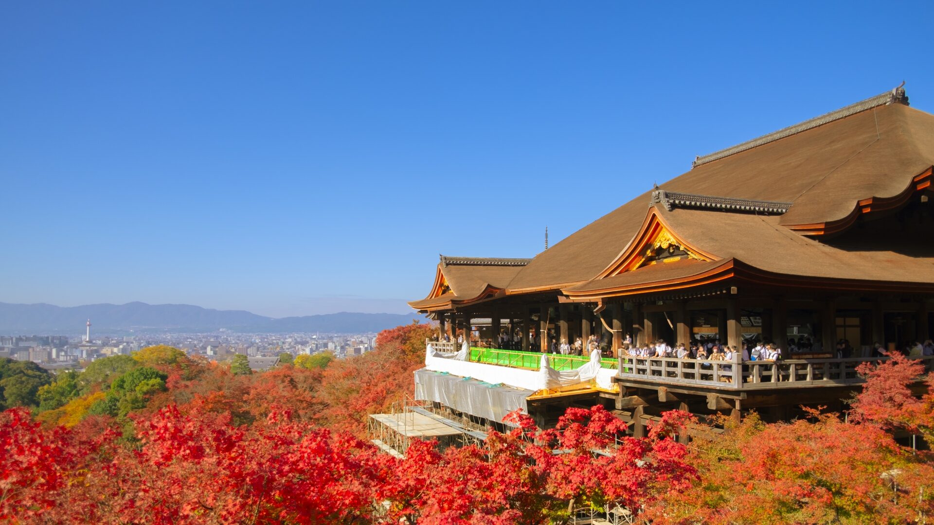 京都紅葉2